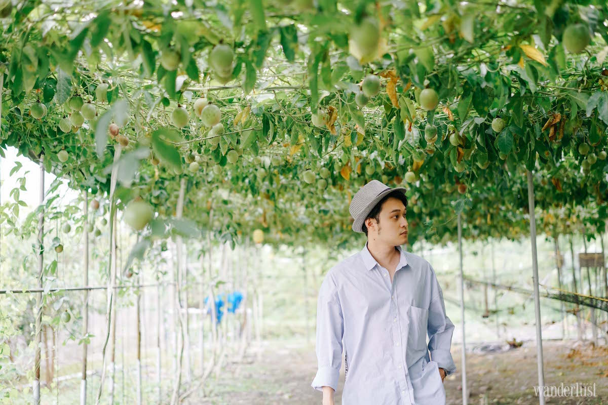 Đài Loan: “Vì sao ít nhất một lần trong đời bạn nên ghé thăm?” 8 Wanderlust Tips Share the love vi sao it nhat mot lan trong doi ban nen ghe tham dai loan 14