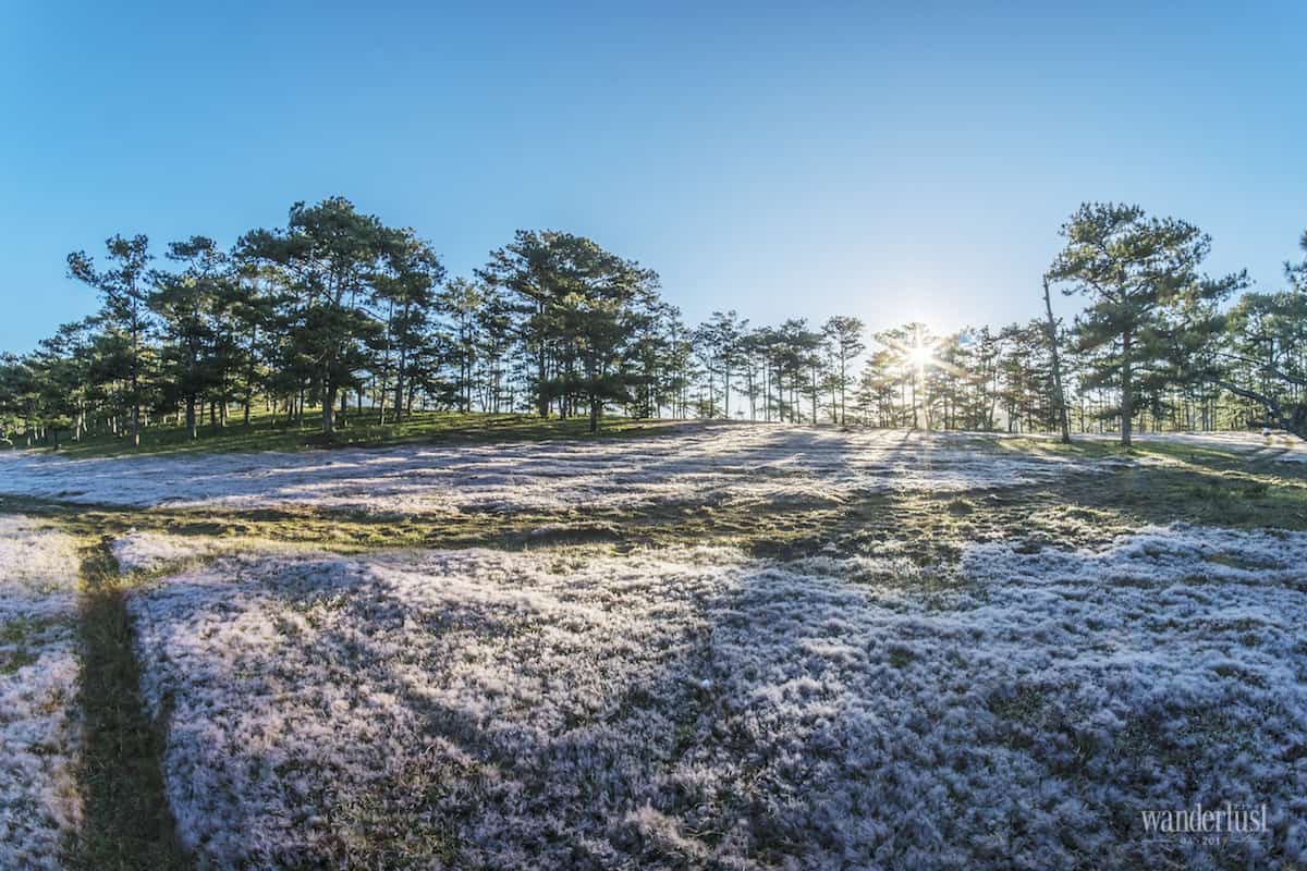 Tạp chí Du lịch Wanderlust Tips Bên Đà Lạt và bên người ta thương - điểm đến