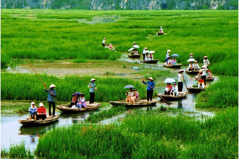 Tạp chí Du lịch Wanderlust Tips Đầm ngập nước Vân Long trở thành khu Ramsar thứ 9 của Việt Nam