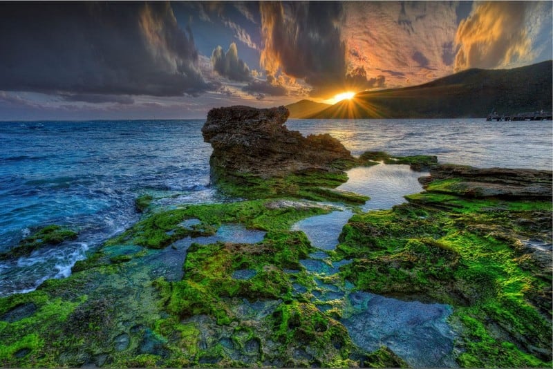 Tạp chí Du lịch Wanderlust Tips Bỏ túi những khi nghiệm để có chuyến du lịch Úc hoàn hảo