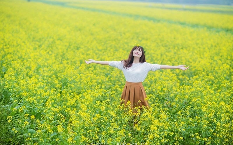 Tạp chí Du lịch Wanderlust Tips | Mùa hoa cải Hàn Quốc đẹp ngỡ ngàng như chốn thiên đường