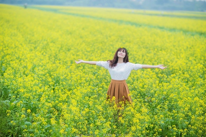 Tạp chí Du lịch Wanderlust Tips | Mùa hoa cải Hàn Quốc đẹp ngỡ ngàng như chốn thiên đường