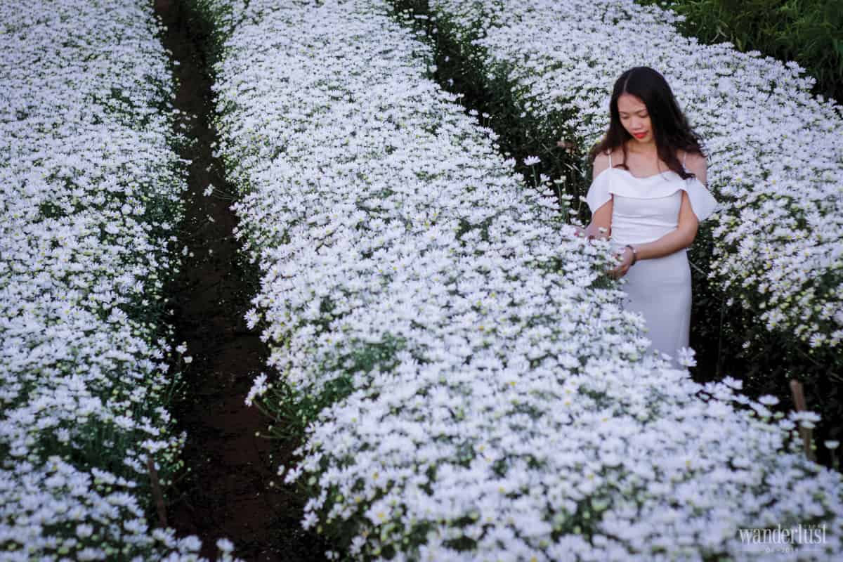 Tạp chí Du lịch Wanderlust Tips Share the love: Du lịch theo dấu những thước phim - share the love