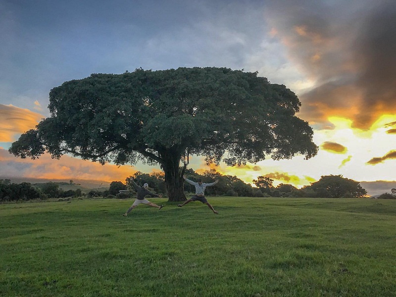 Wanderlust Tips the absolute safari hanh trinh 73 ngay kham pha chau phi 10