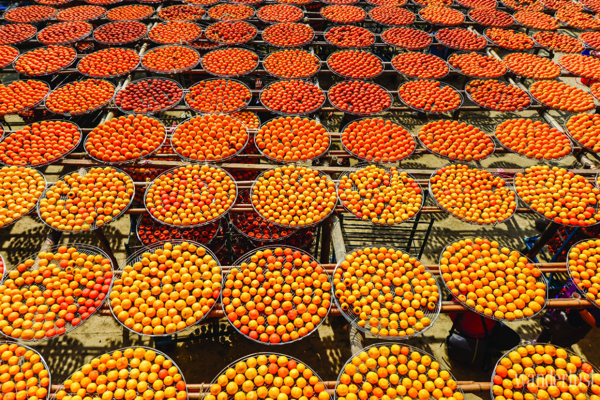 Tạp chí Du lịch Wanderlust Tips Tìm hiểu văn hóa của người Khách Gia ở Miêu Lật