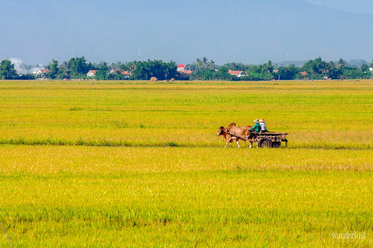 Tạp chí Du lịch Wanderlust Tips Việt Nam trong tôi và những thước phim