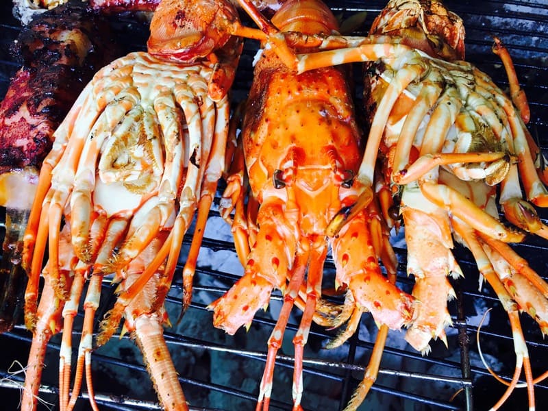 Du lịch Bình Ba: Khám phá hòn đảo tuyệt đẹp 19 Tạp chí Du lịch Wanderlust Tips | Du lịch Bình Ba: Khám phá hòn đảo tuyệt đẹp