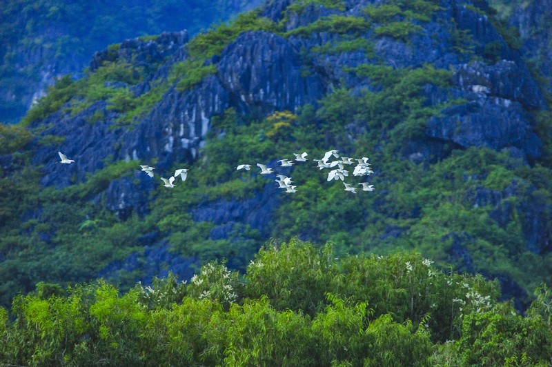 Du lịch Ninh Bình: Về thăm vùng đất cố đô 17 Tạp chí Du lịch Waderlust Tips | Du lịch Ninh Bình: Khám phá vùng đất cố đô