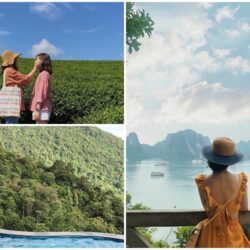 Tạp chí Du lịch Wanderlust Tips | Ghé thăm những địa danh đẹp như mơ khi mùa hè sang ở miền Bắc