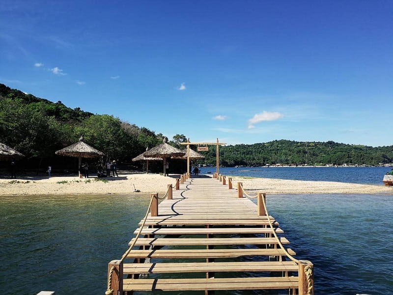 Tạp chí Du lịch Wanderlust Tips | Kinh nghiệm du lịch Phú Yên:Vùng đất hoa vàng cỏ xanh