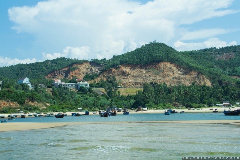 Tạp chí Du lịch Wanderlust Tips | Kinh nghiệm du lịch Phú Yên:Vùng đất hoa vàng cỏ xanh