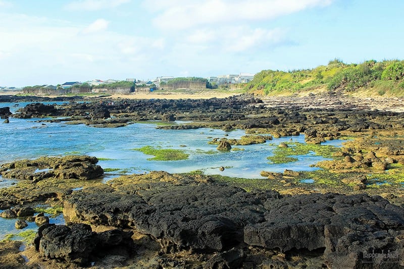 Kinh nghiệm du lịch khám phá đảo Phú Quý 8 Tạp chí Du lịch Wanderlust Tips | Kinh nghiệm khám phá đảo Phú Quý: Hòn đảo hoang sơ và thơ mộng