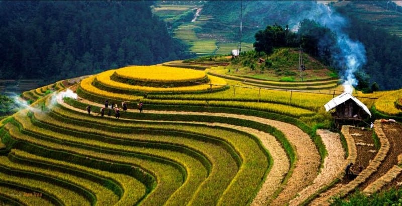 Tạp chí Du lịch Wanderlust Tips | Kinh nghiệm khám phá miền đá núi Hà Giang 