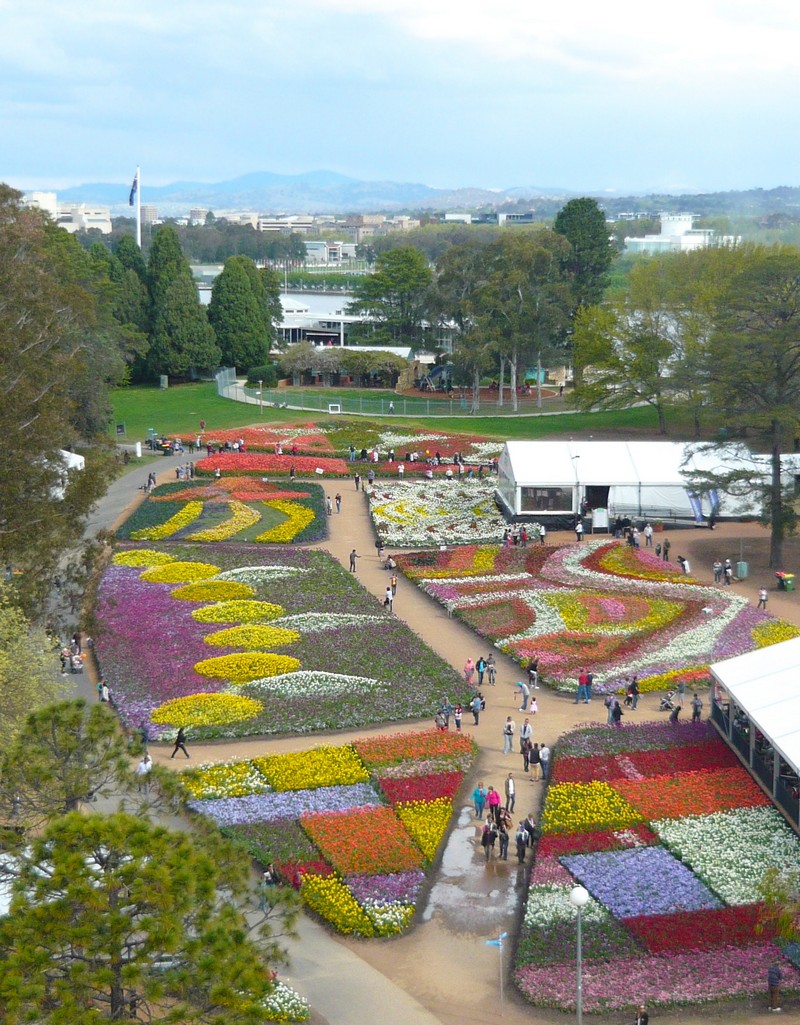 Khám phá những lễ hội tràn ngập sắc màu ở Hà Lan 7 wanderlust tips nhung le hoi khong nen bo lo khi du lich ha lan 4