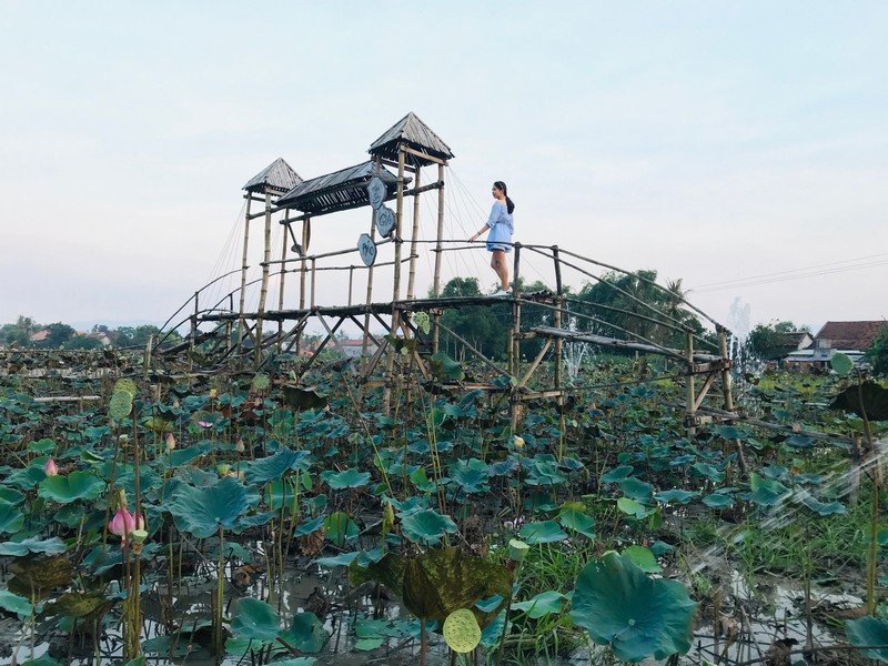 Níu giữ xúc cảm ngọt ngào giữa đất trời Phú Yên 12 wanderlust tips niu giu xuc cam ngot ngao giua dat troi phu yen 9