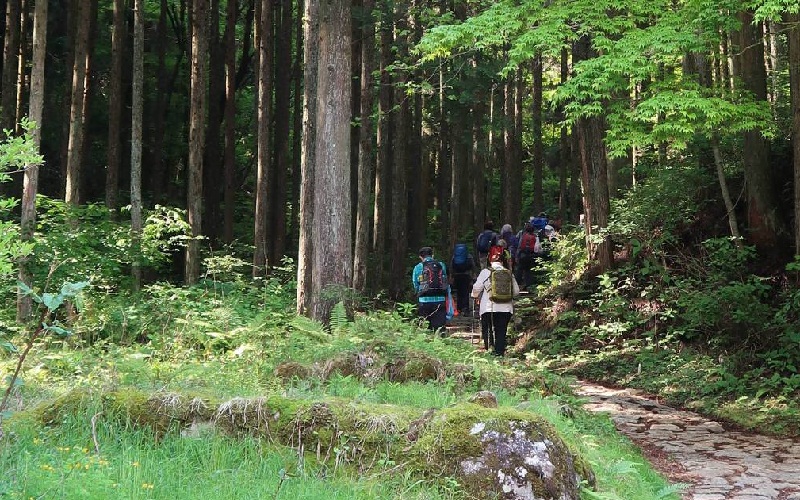 Nakasendo Hike 3 day: Tản bộ dọc tuyến đường cổ thời Edo 5 Wanderlust Tips Nakasendo Hike 3 day tan bo doc tuyen duong co thoi edo bia