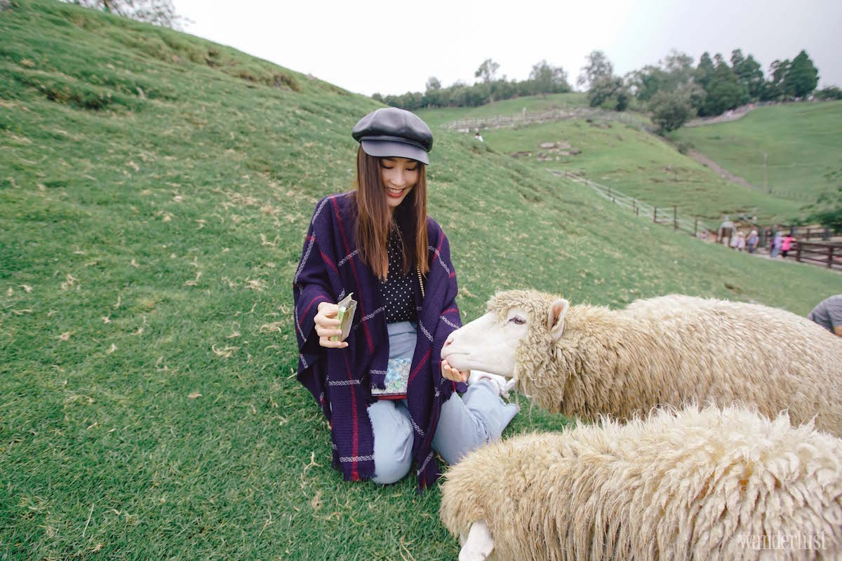 Wanderlust Tips Share the love vi sao it nhat mot lan trong doi ban nen ghe tham dai loan 15