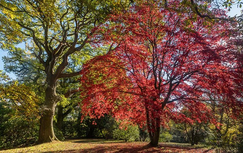 Wanderlust Tips kinh nghiem du lich anh den voi xu so suong mu 07