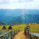 Ghé thăm trang trại dâu tây xinh đẹp tại Phoukhoun, Lào