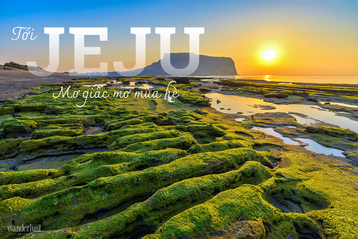 Tạp chí Du lịch Wanderlust Tips Tạp chí Wanderlust Tips số 06/2019: Du lịch gia đình tại Hàn Quốc