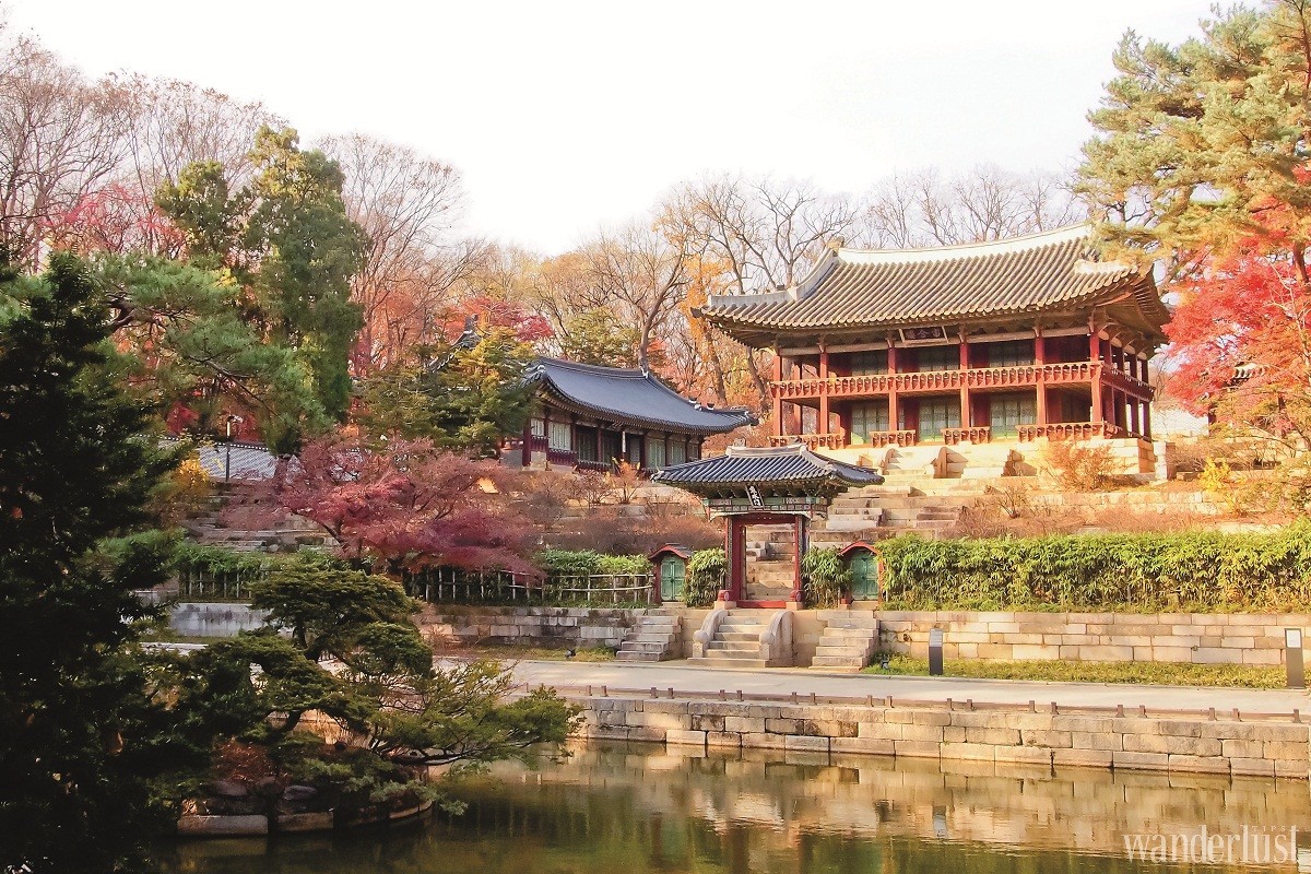 Wanderlust Tips 10 ly do chon han quoc cho ky nghi sang trong 04