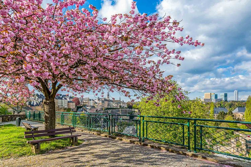 Tạp chí Du lịch Wanderlust Tips Bỏ túi những kinh nghiệm du lịch Luxembourg