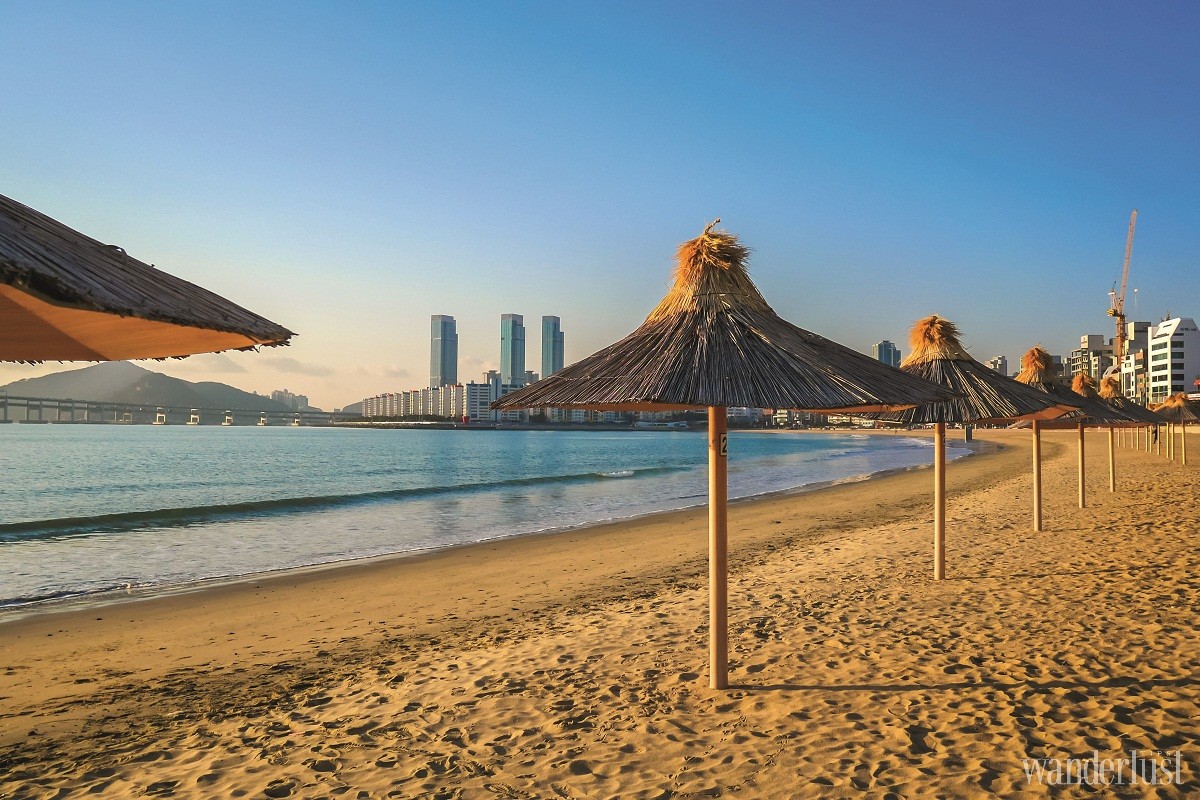 Tạp chí Du lịch Wanderlust Tips Busan: Thiên đường nghỉ dưỡng của giới thượng lưu