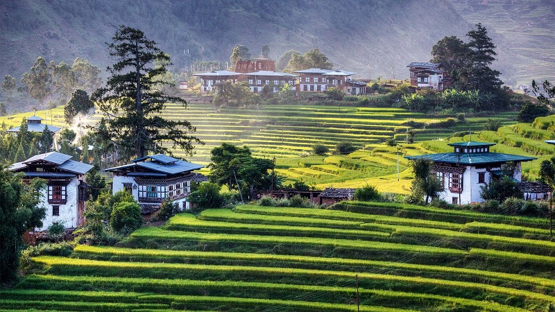 Độc đáo loại gạo đỏ đặc trưng của người Bhutan 7 Wanderlust Tips doc dao gao do cua nguoi tay tang 07
