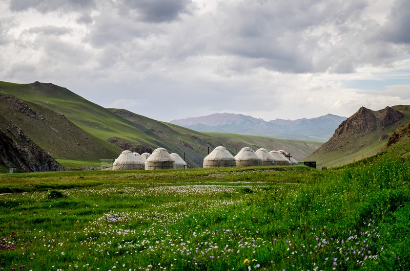 Wanderlust Tips du lich Kyrgyzstan lang nghe ban hoa ca du muc 02