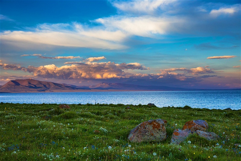 Wanderlust Tips du lich Kyrgyzstan lang nghe ban hoa ca du muc 11