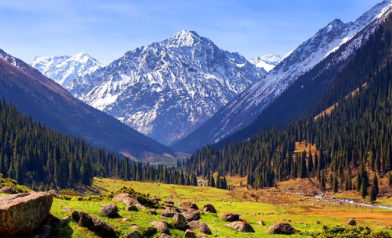 Wanderlust Tips du lich Kyrgyzstan lang nghe ban hoa ca du muc 12