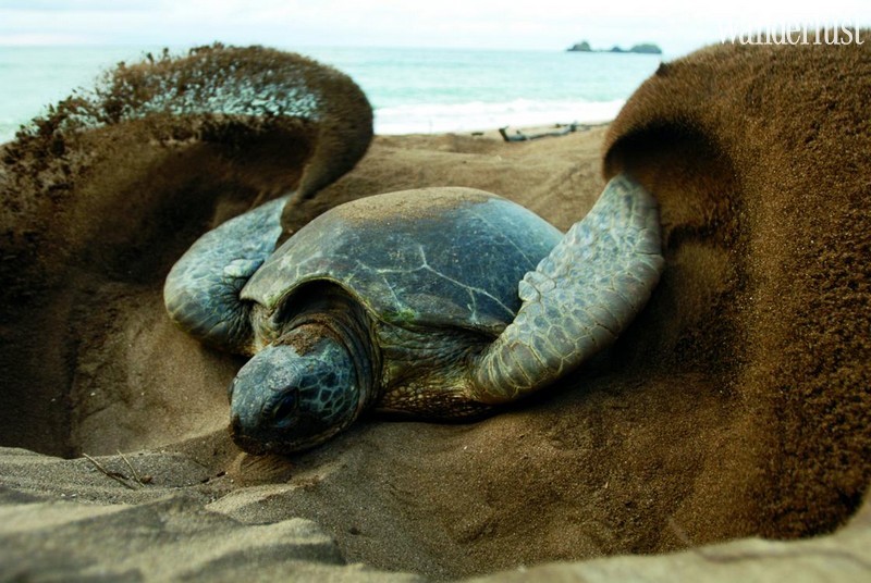 Tạp chí Du lịch Wanderlust Tips Du lịch Comoros: Khám phá vùng đất hoang sơ quyến rũ