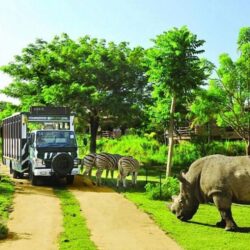 tập chí wanderlust du lịch safari