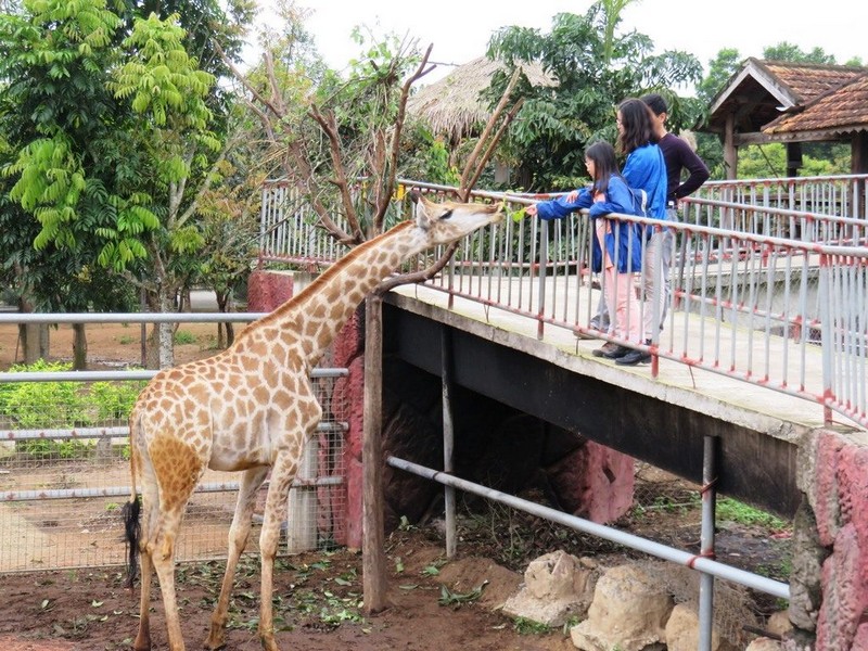 tạp chí wanderlust du lịch safari
