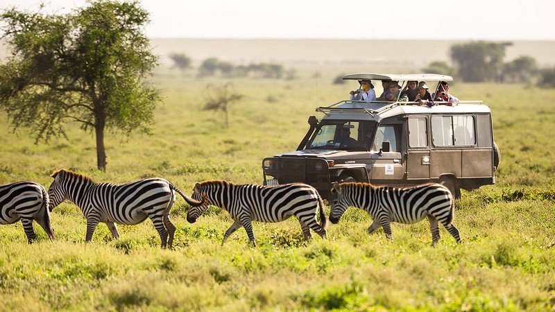 tạp chí wanderlust tips du lịch safari