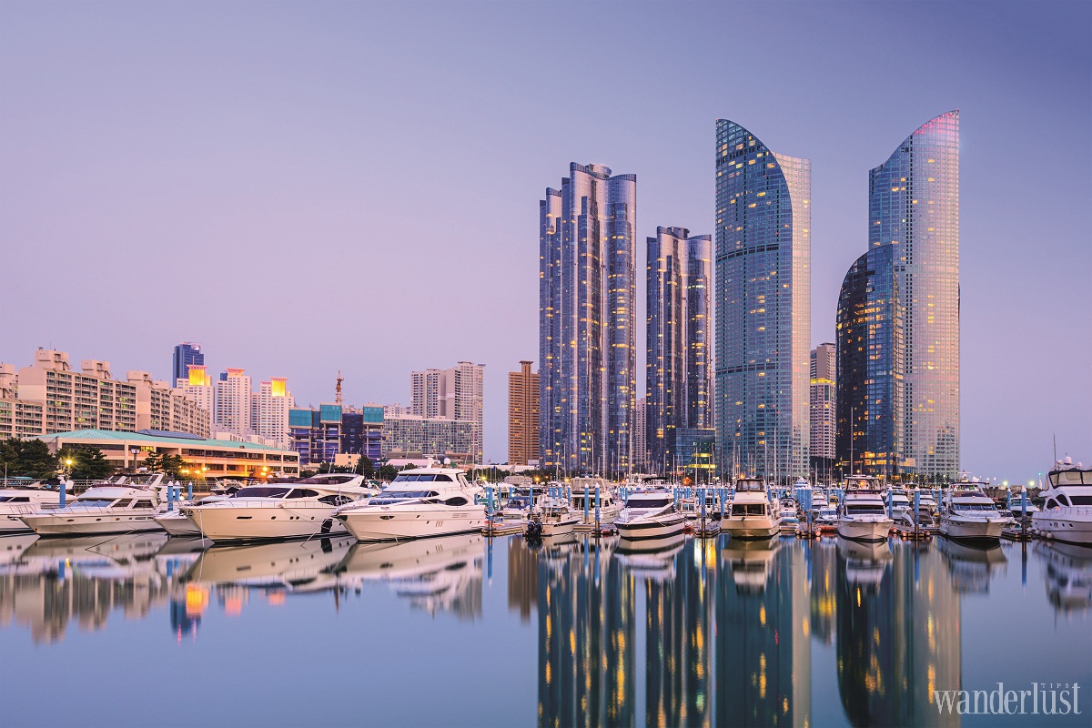 Wanderlust Tips kham pha busan long lay 01