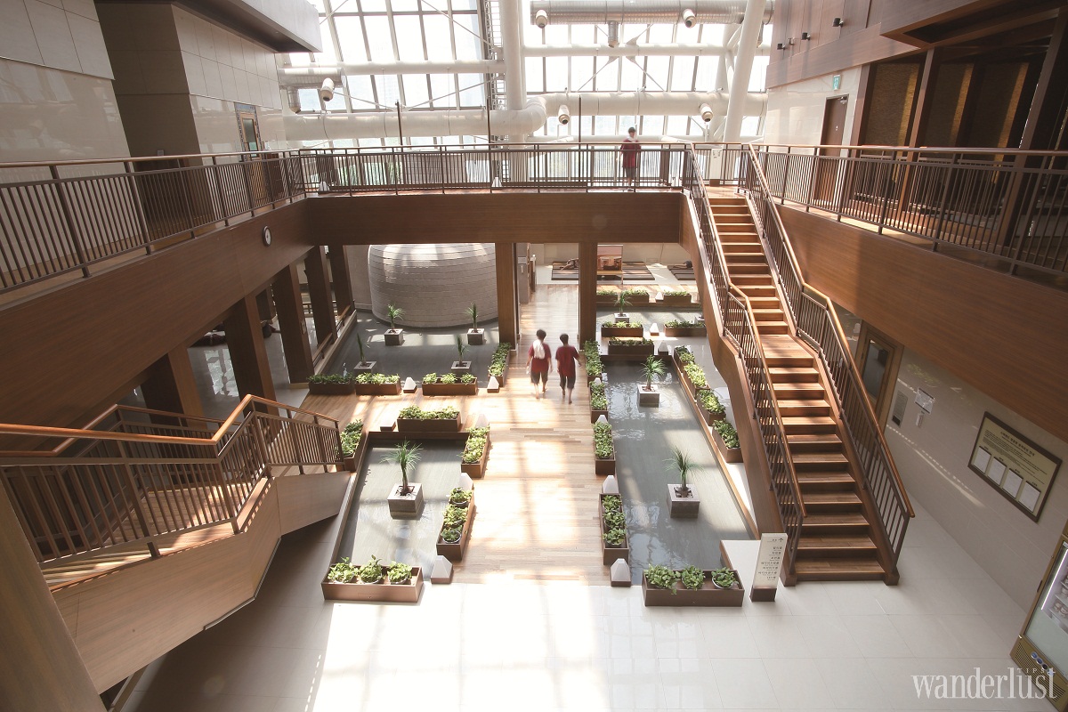 Wanderlust Tips kham pha busan long lay 04