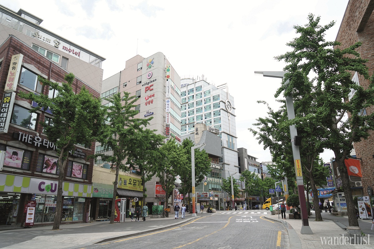 Wanderlust Tips kham pha busan long lay 06