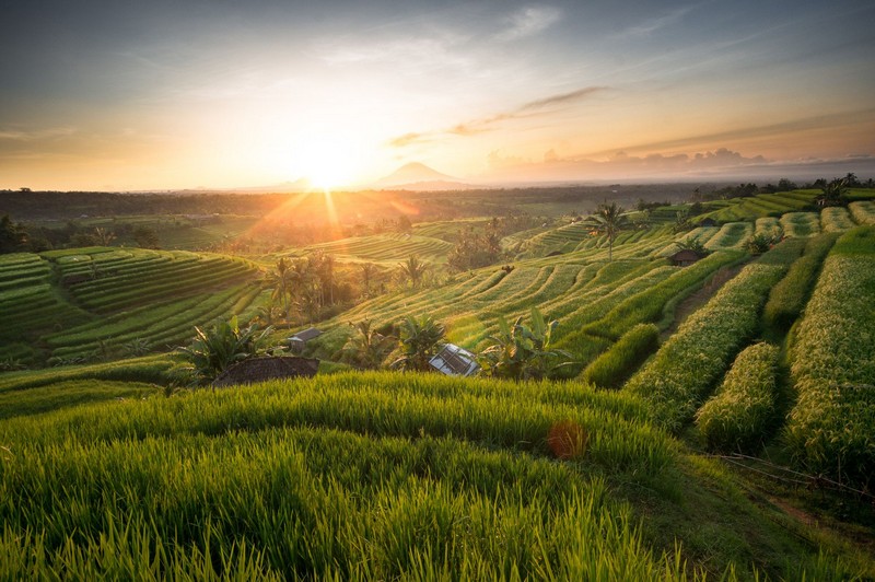 Wanderlust Tips kinh nghiem kham pha ruong bac thang Jatiluwih bali 01