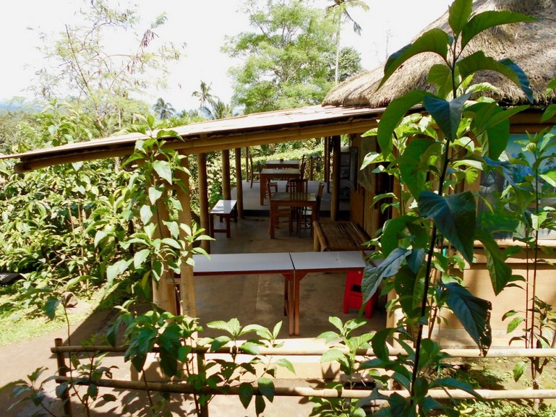 Tạp chí Du lịch Wanderlust Tips Kinh nghiệm khám phá ruộng bậc thang Jatiluwih, Bali