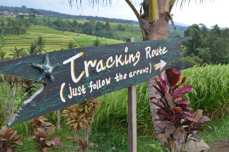 Tạp chí Du lịch Wanderlust Tips Kinh nghiệm khám phá ruộng bậc thang Jatiluwih, Bali