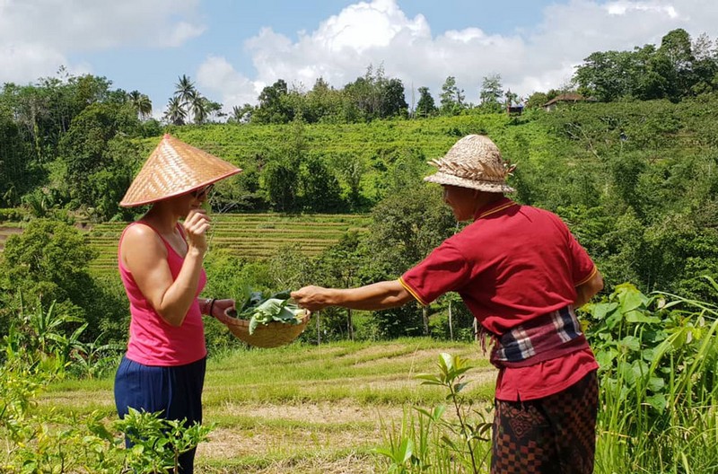 Wanderlust Tips kinh nghiem kham pha ruong bac thang Jatiluwih bali 11