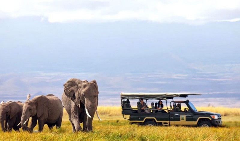 tạp chí wanderlust tips du lịch Safari