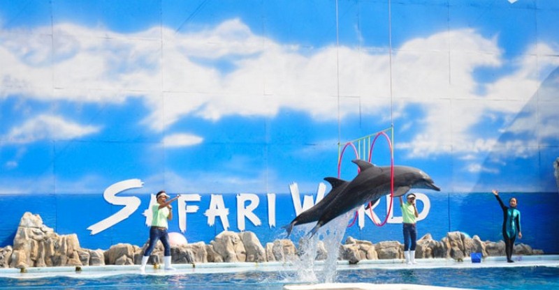 tạp chí wanderlust tips du lịch Safari