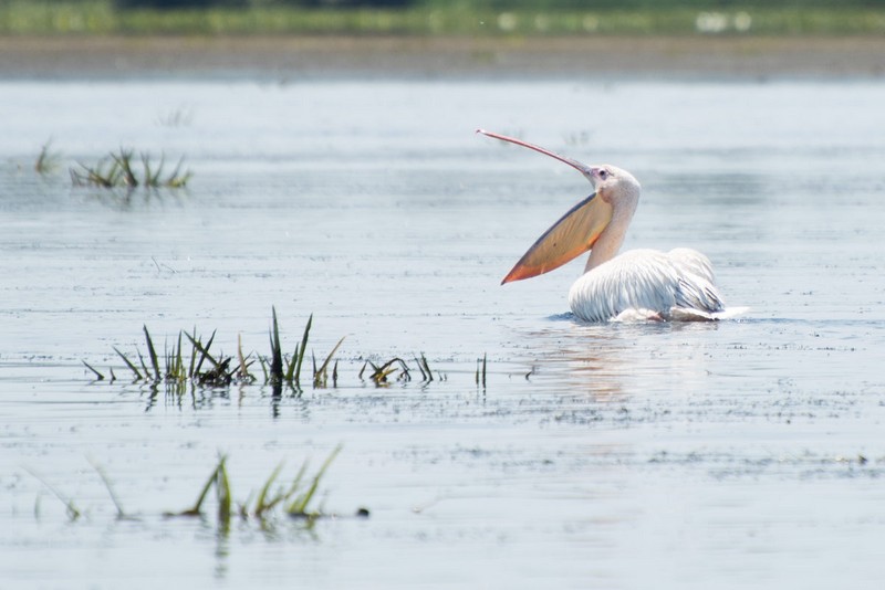 Wanderlust Tips tour du lich dac biet luu giu nhung buc anh y nghia ve romania 04