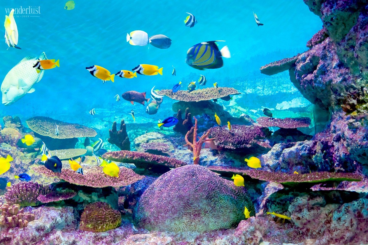 Wanderlust Tips trai nghiem du lich gia dinh va nghi duong tai han quoc 02