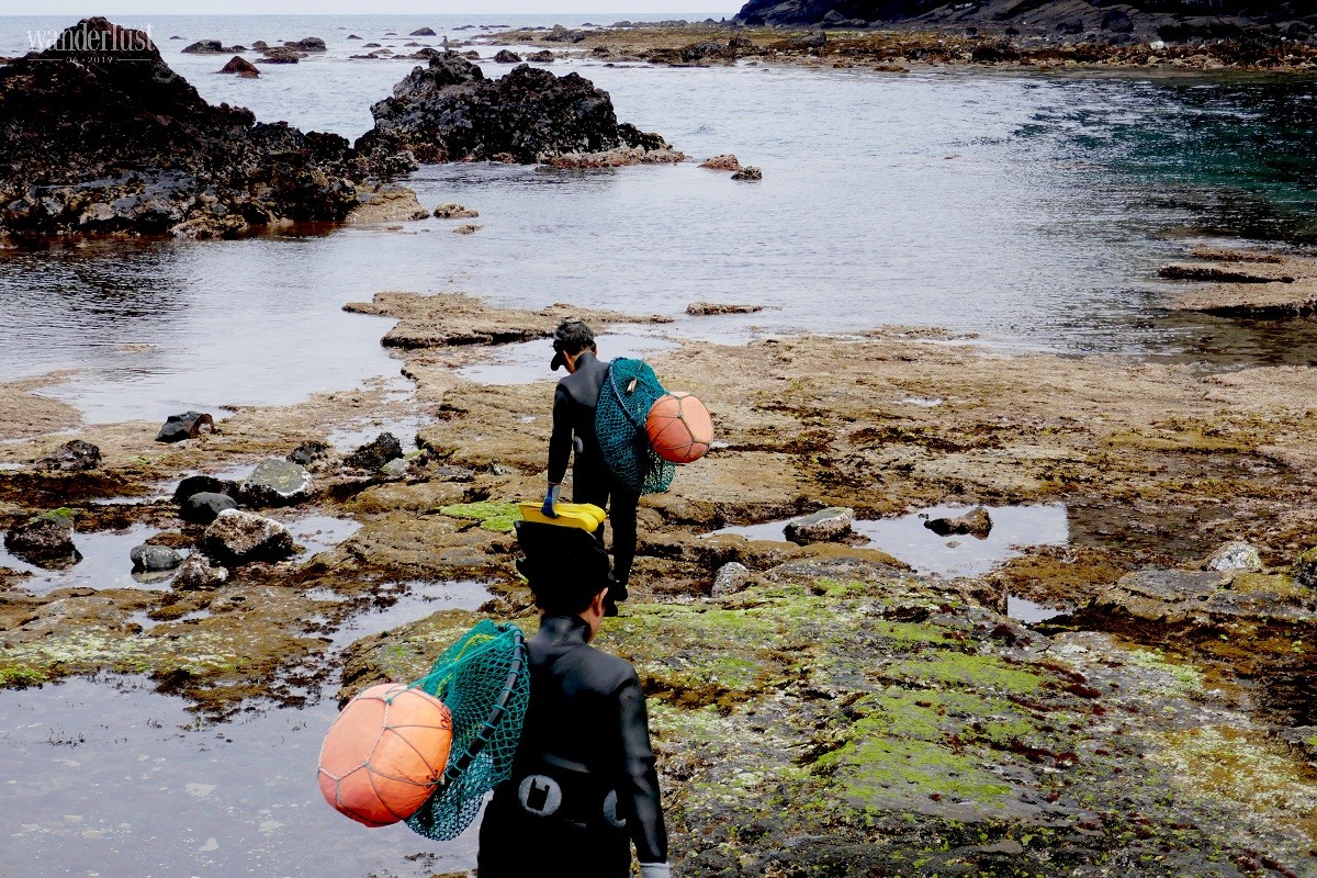 Tạp chí Du lịch Wanderlust Tips Trải nghiệm du lịch gia đình và nghỉ dưỡng ở Hàn Quốc