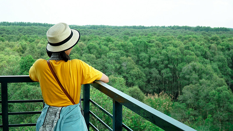 Cẩm nang du lịch rừng tràm Trà Sư, An Giang 17 Tạp chí Du lịch Wanderlust Tips | Cẩm nang du lịch rừng tràm Trà Sư, An Giang