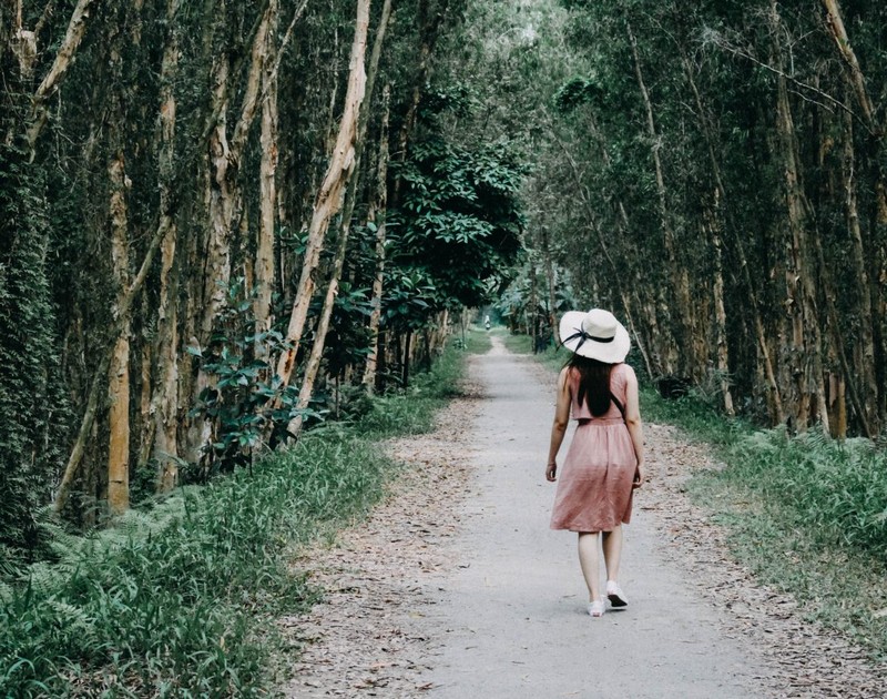 Cẩm nang du lịch rừng tràm Trà Sư, An Giang 15 Tạp chí Du lịch Wanderlust Tips | Cẩm nang du lịch rừng tràm Trà Sư, An Giang