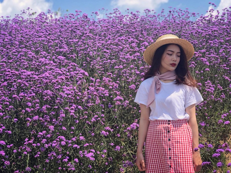 wanderlust tips den sa pa thang 6 ngay ngat vuon oai huong thao khoe sac tim 1